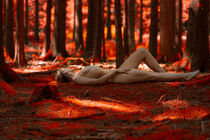 red forrest by Matthias Baroni