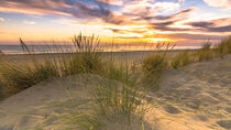 Stranddüne im Sonnenuntergang