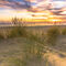 Strandhafer-dune-zum-sonnenuntergang-nordsee