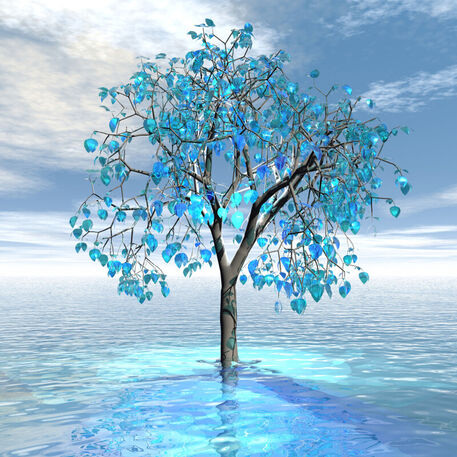Crystal-blue-tree
