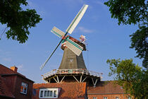 Windmühle - Galerieholländer Westgaster Mühle in Norden by babetts-bildergalerie
