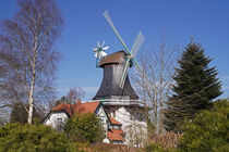 Windmühle Anna in Rieseby von babetts-bildergalerie