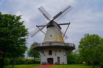 Windmühle - Galerieholländerwindmühle in Rahden-Tonnenheide by babetts-bildergalerie