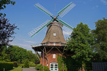 Windmühle - Tjücher Mühle in Marienhafe by babetts-bildergalerie