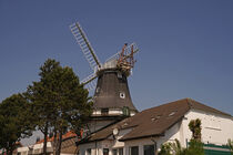 Windmühle - Galerieholländer in Carolinensiel von babetts-bildergalerie