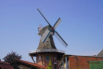 Windmühle - Galerieholländer in Wiegboldsbur von babetts-bildergalerie