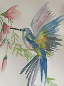 Hummingbird by cuddlymomma