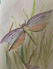 Dragonfly by cuddlymomma