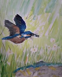 Kingfisher over pond von cuddlymomma