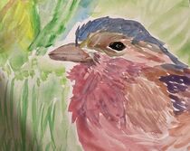 Bird in the grass by cuddlymomma