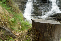 Baumstumpf vor Wasserfall by babetts-bildergalerie