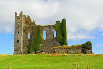 Ballycarbery Castle  by babetts-bildergalerie