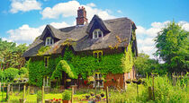 Mit Efeu bewachsenes Haus in Suffolk von babetts-bildergalerie