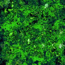 Green glass fragments von Keith Mills