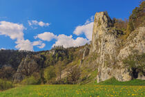 Frühling im Naturpark Obere Donau bei Fridingen von Christine Horn