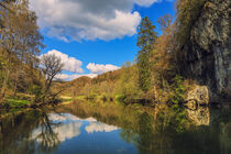 Uferlandschaft Donau bei Fridingen - Naturpark Obere Donau von Christine Horn