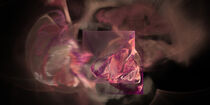 Fraktal Abstrakt pink Rauch von Nick Freund
