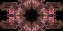Fraktal Abstrakt Ornament rosa by Nick Freund