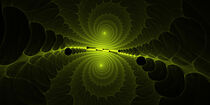 Fraktal grünen Spirale Spiegelung von Nick Freund