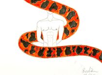 red-snake von Rachèle Fabry