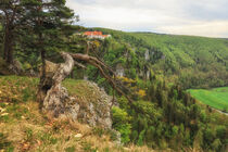Bandfelsen bei Leibertingen mit Blick auf Burg Wildenstein - Naturpark Obere Donau von Christine Horn