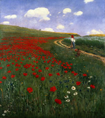 The Poppy Field  by Pal Szinyei Merse