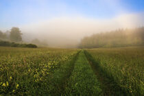 Sommermorgen mit Nebel im Naturschutzgebiet bei Fridingen a.d. Donau - Naturpark Obere Donau von Christine Horn