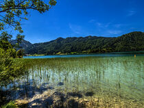 BAVARIA : VIEW ON THE SCHLIERSEE LAKE by Michael Naegele