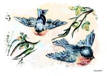 Eastern Bluebird on the Wing von eloiseart
