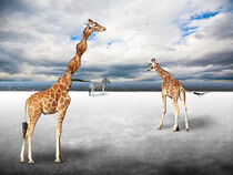 De verdrehte Giraffe by Barbara Pfannstiel