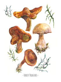 Watercolor botanical mushroom by Varvara Kurakina