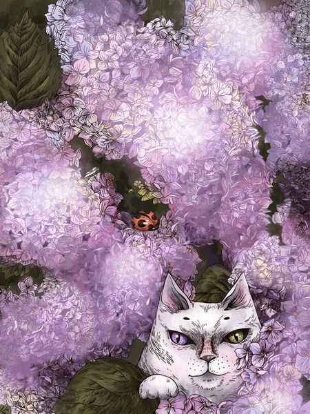 Hydrangea-cat