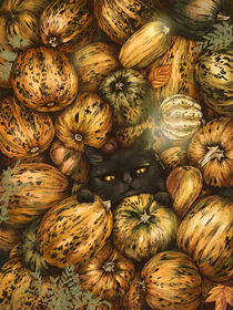 Cute black cat between pumpkin