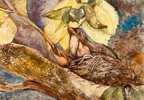The nest on the branches by Myungja Anna Koh