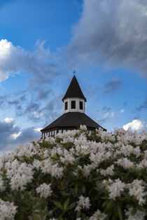 Kirchturmspitze hinter Blüten von Holger Spieker