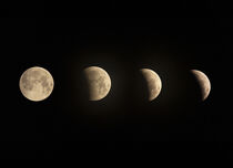 Moon Phases von Maresa Pryor-Luzier