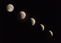 Phases of the Lunar Eclipse von Maresa Pryor-Luzier