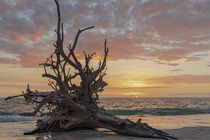 Sunset at Lovers Key by Maresa Pryor-Luzier