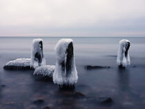 Eis am Meer by Egid Orth