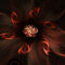 'Fraktal Blume' by Nick Freund