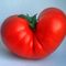 Ein-herz-fur-tomaten