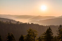 Sonnenaufgang am Schliffkopf im Schwarzwald by dieterich-fotografie