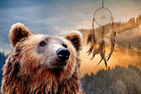Brown-bear-and-dream-catcher