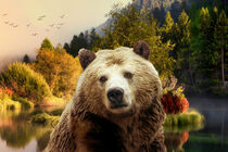 Braunbär und Wald - Brown Bear and Forest von Erika Kaisersot