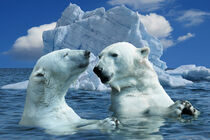 Polar Bears and Sea - Eisbären und Meer by Erika Kaisersot