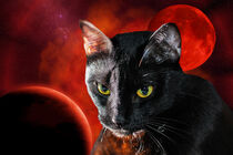Black Cat and Planet - Schwarze Katze und Planet von Erika Kaisersot