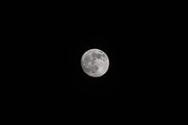 Luna - Mond von Nikolaus Feist