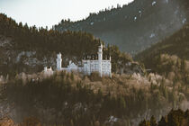 Schloss Neuschwanstein von Nikolaus Feist