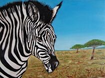 Zebra  von markgraefe