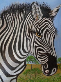 Zebra,  by markgraefe
